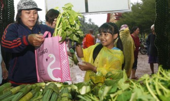 Temple's free vegetables initiative sparks saving spree