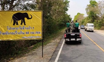 Give way to elephants, or go to jail